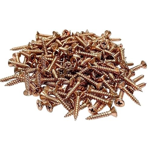SS Self-Tapping Screw Pack of 100